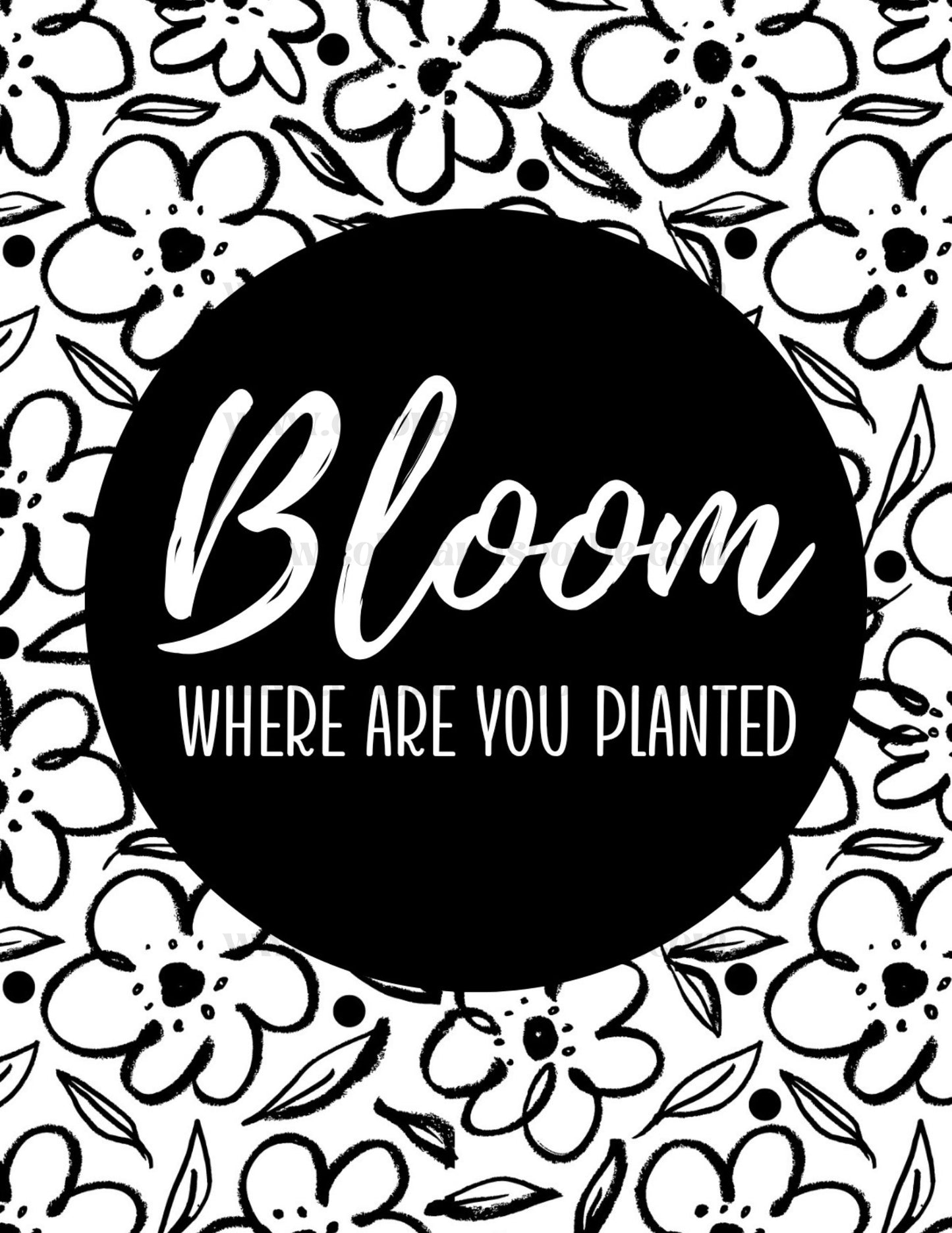 Bloom Where You are Planted