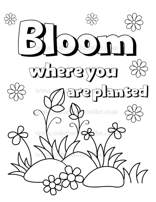 Bloom Where You Are Planted