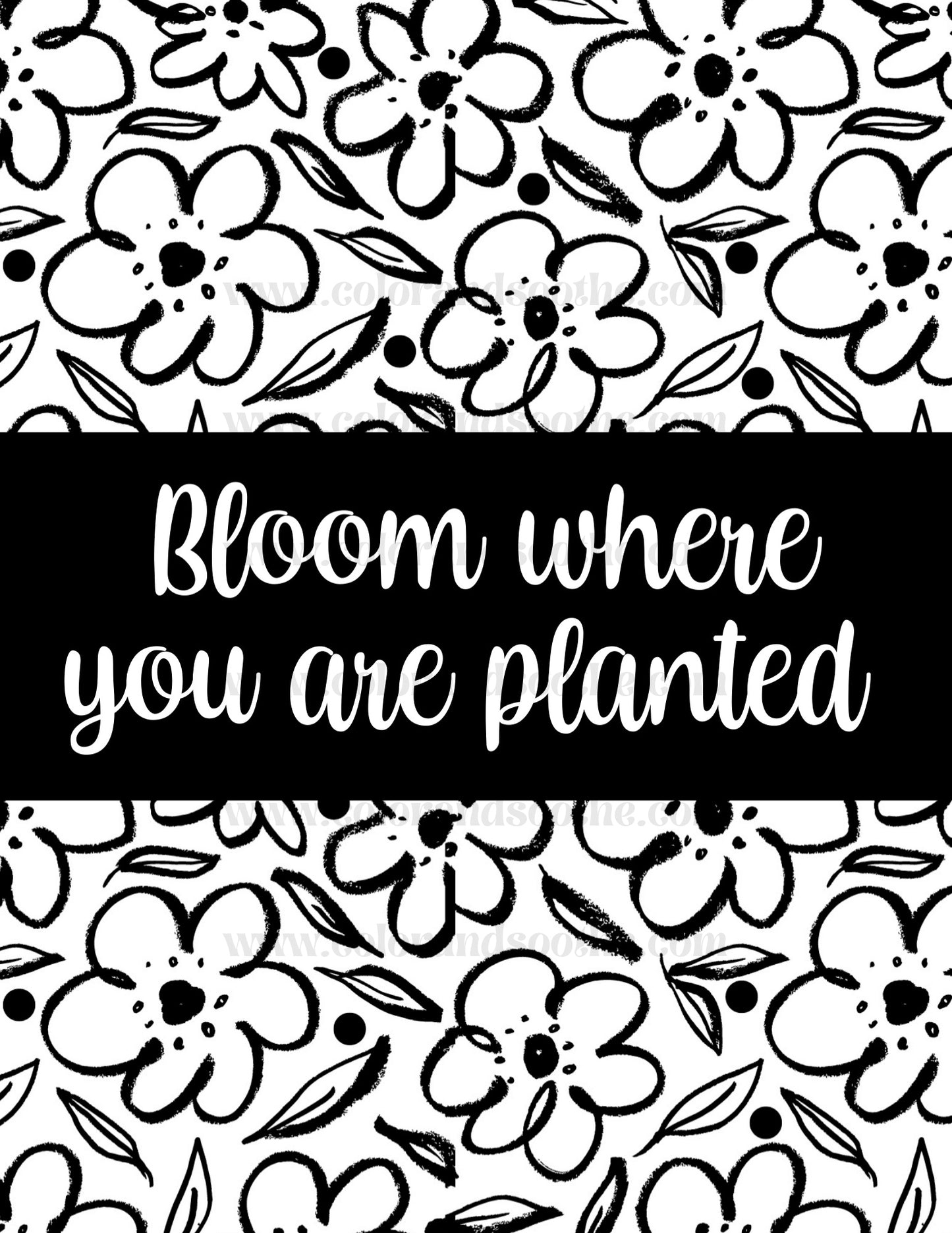 Bloom Where You are Planted