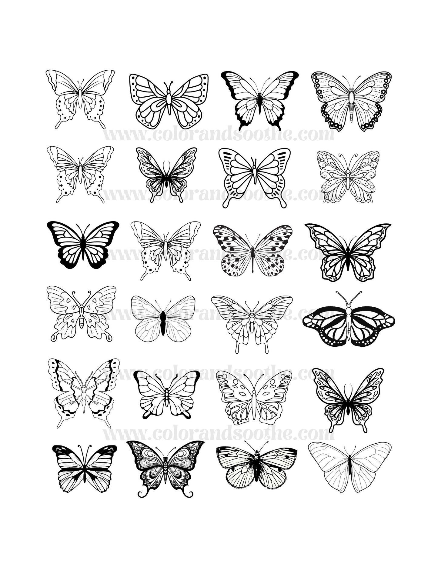 Butterfly Collection